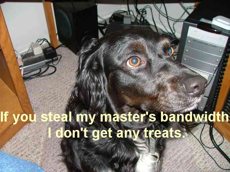 Don't steal my dog's treats