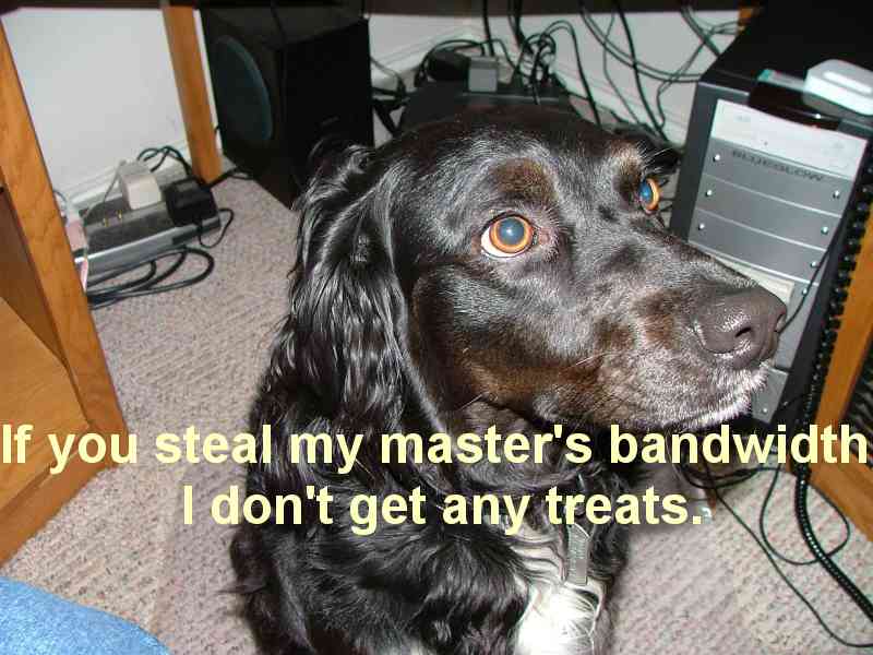 Don't steal my dog's treats