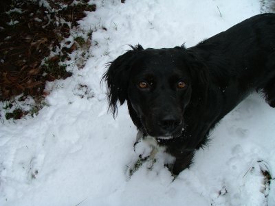 Boots in the snow.